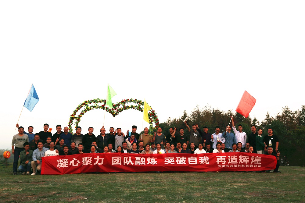 惠州豪鵬科技有限公司